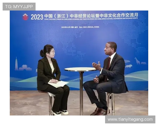 尼日利亚与中国的经济合作与文化交流新篇章探讨